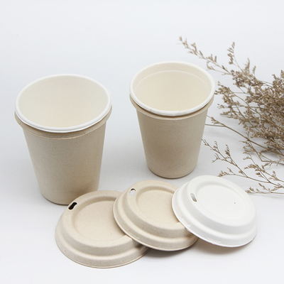 Natural Color Sugarcane 350ml Bagasse Cups 12oz With Lid